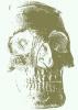 Avatar de ricanon