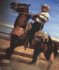 Avatar de Vaquero