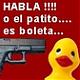 Avatar de pelinpelotas